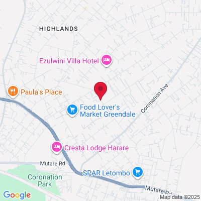 Google Maps static image